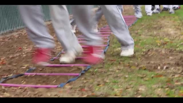 Infield - Footwork - Ladder Drill
