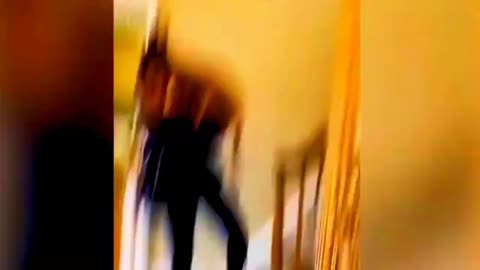 Laughing Dogs and Dancing Cats: Hilarious Animal Antics