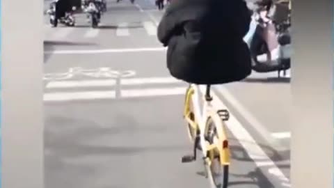 Funny & Hilarious Video People's Life ( PART 2 ) Try Not To Laugh Funny Videos 2023