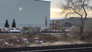 Deer Crossing