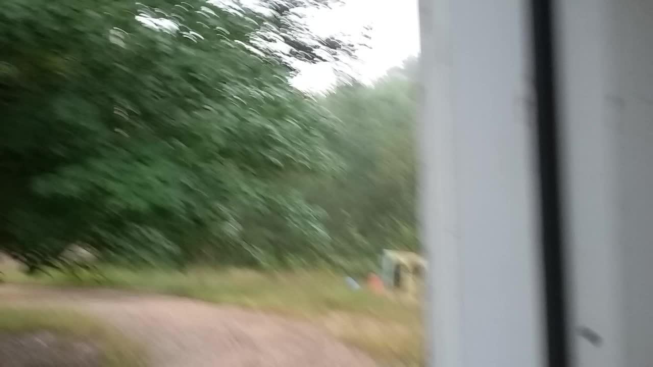 10 minute heavy rain and thunder in my yard