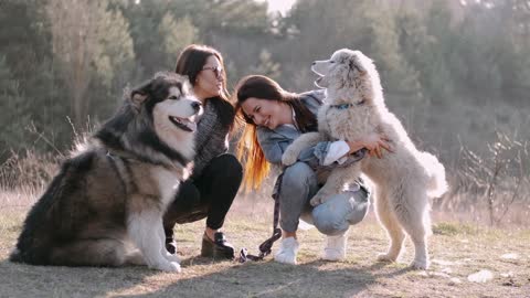 girls playing with dogs very beautiful moment