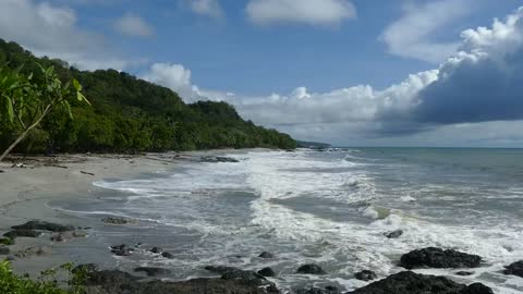 Beautiful tropical beach and jungle