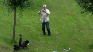 Schwan Attacken (Part 8) Schloss Ringenberg - angry swan attacks