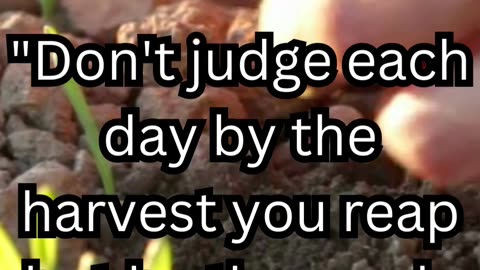 Robert Louis Stevenson Quote #1