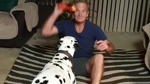 Ozzie playing