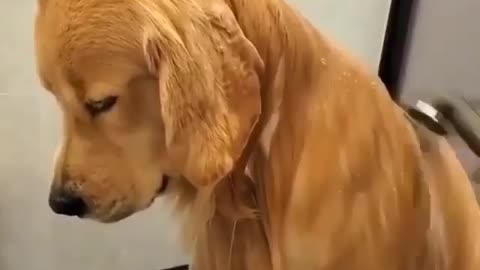I am already clean🤣