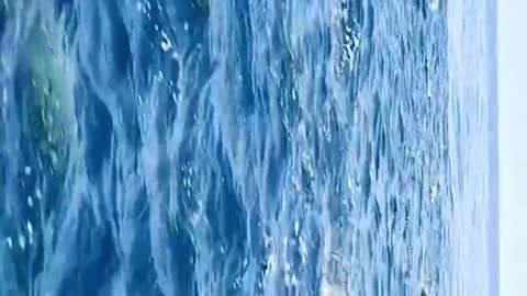 It's a beautiful ocean. I love it here