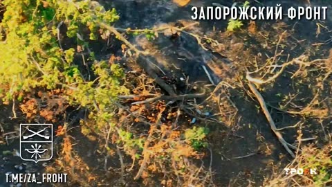 Footage of combat work
