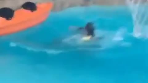 Top 25 Kids & Kiddie Pools FAILS | Hilarious Water Fails Compilation | Viral TRND 2024
