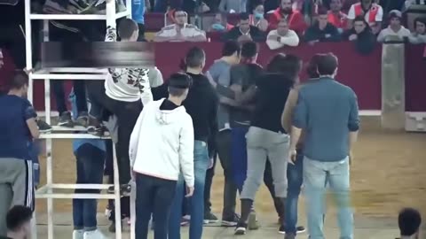 Top Finest: Hilarious Bull Fight Fails Compilation 2023