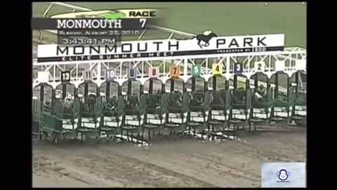 Funny Horse Race Commentary