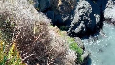 Bluest ocean water in California?