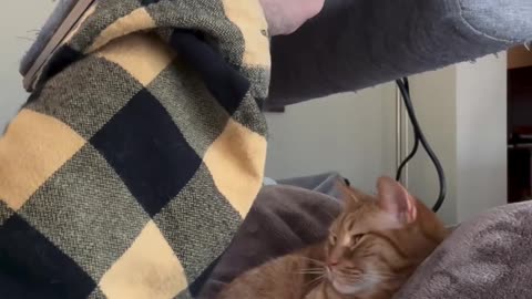 Cheddar!