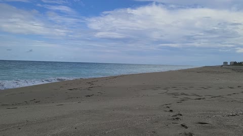 Quick Rendezvous at beach