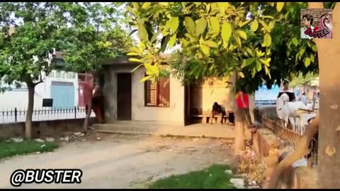 PRANK💣 - #5 - Jalals Joker Prank