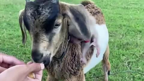 So Cute 🥰😘😘