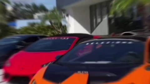 Millionaire rules , Sigma male rules
