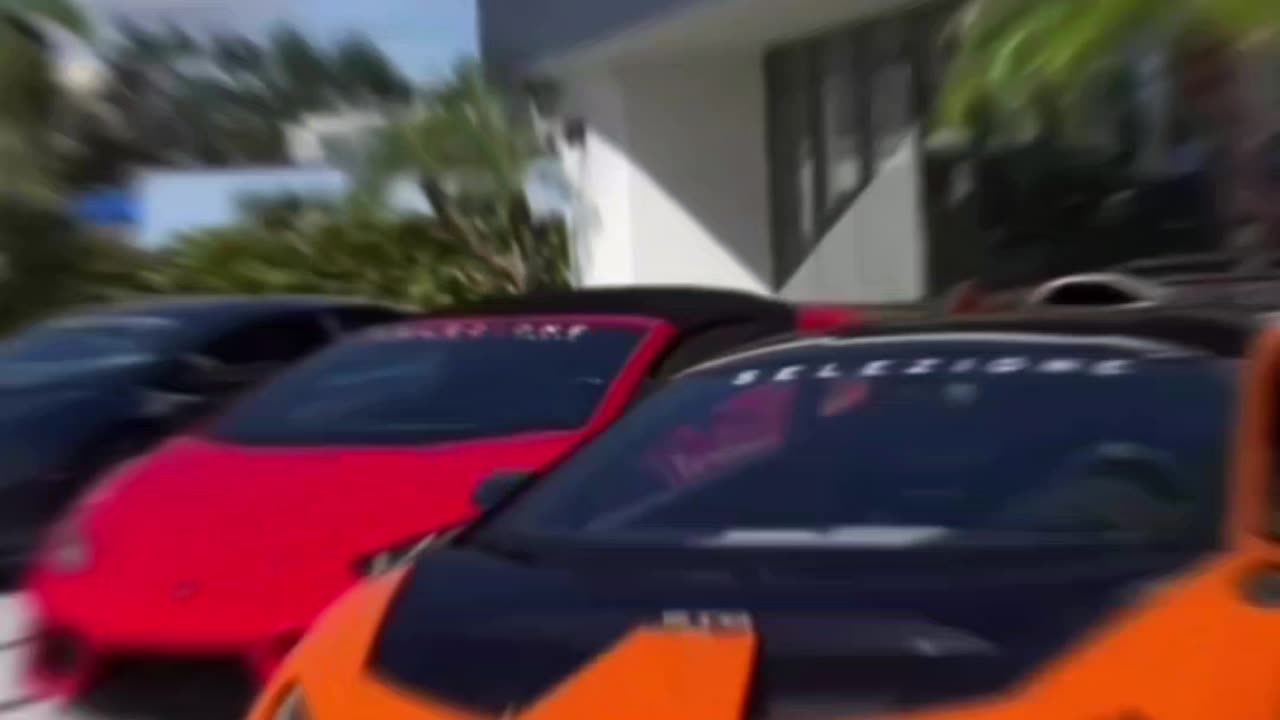 Millionaire rules , Sigma male rules
