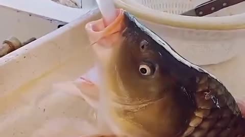 🙈🙉 OMG 😱😱