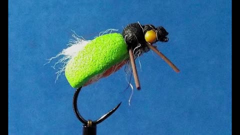 Green split beetle - foam bug