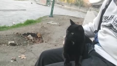 20231205 163433 Tux Lap Molest