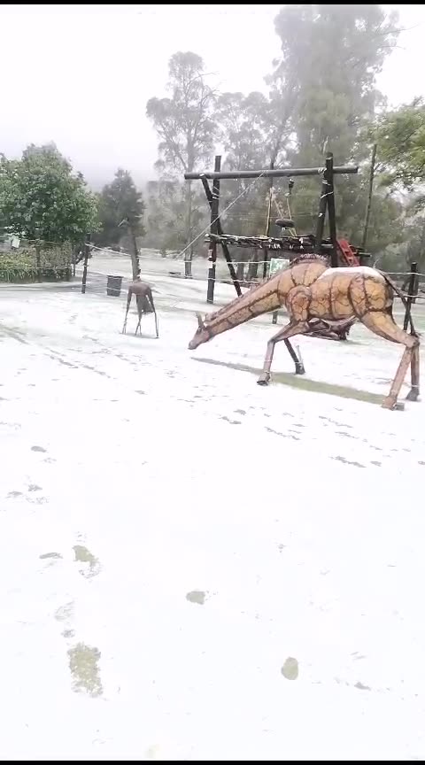 Snow at Inkwelo Resort