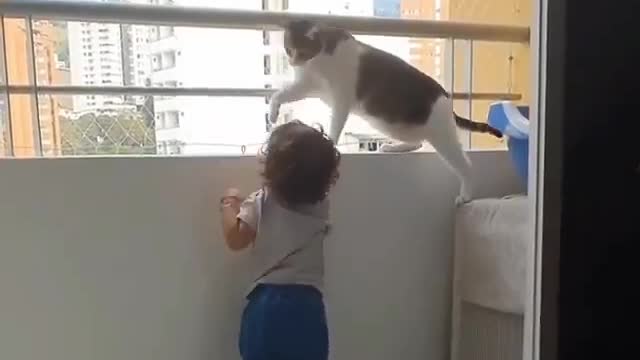 The cat tries to stop the baby from climbing on the railing