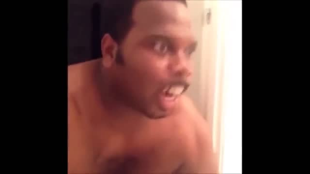 What's the dog says