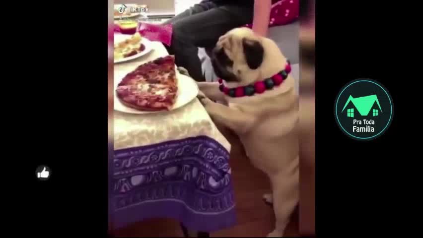 Engraçados e Inteligentes