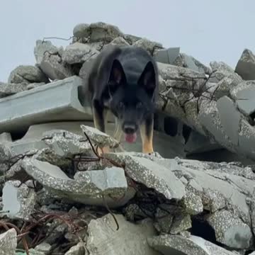Caliber working Rubble