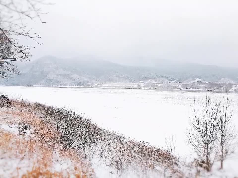 Snowy Andong Hahoe Village Wild Animals