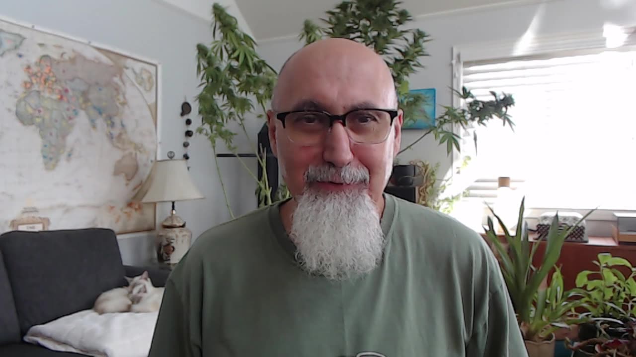 Cannabis Plants: Harvesting Thorsberry & Apricot Mimosa [ASMR, Fireplace & Kitty Cats Sleeping]