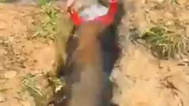 😂😂😂