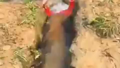 😂😂😂