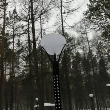 Beautiful forest in the park in winter for walks.