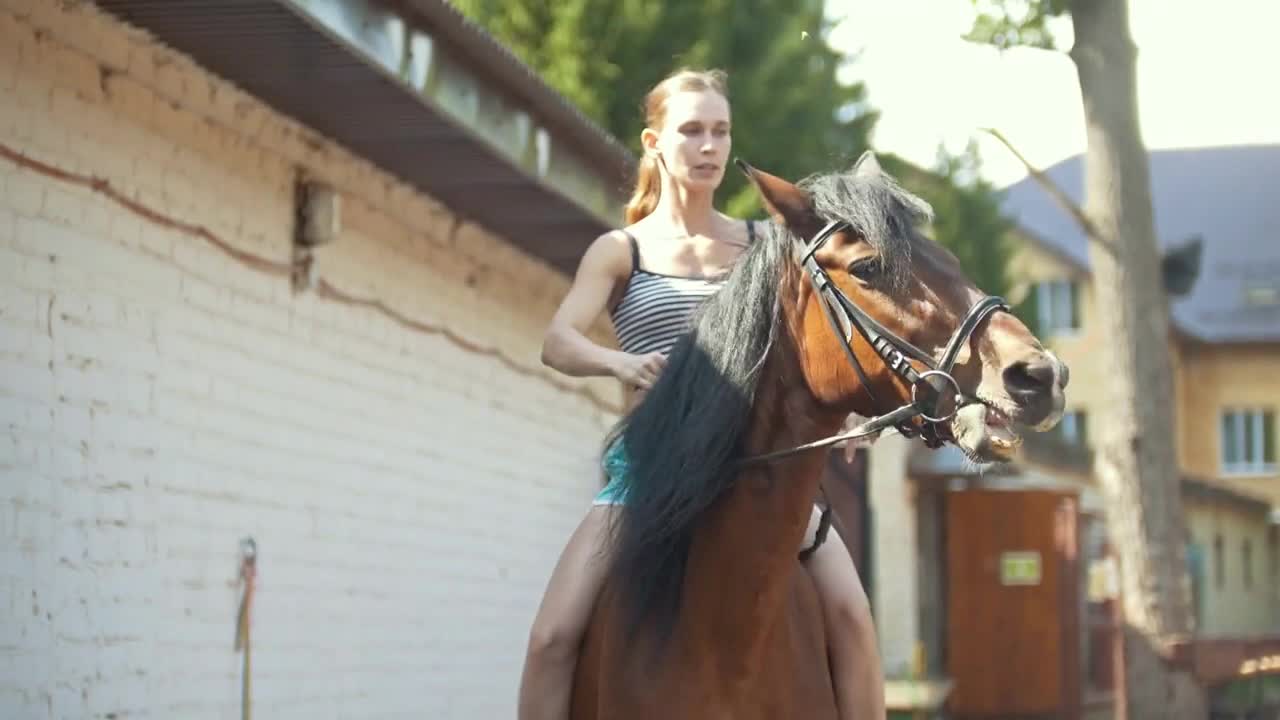 A girl preparing a horse for a ride in stable