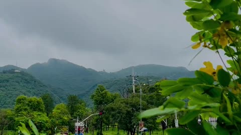 Nature is beautiful 👍