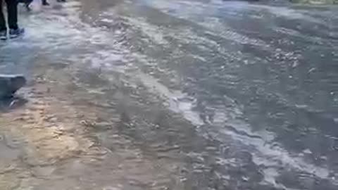 frozen track