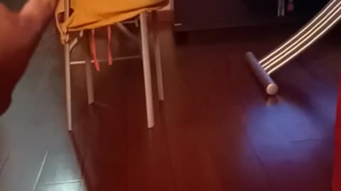 Dog tap dances when happy