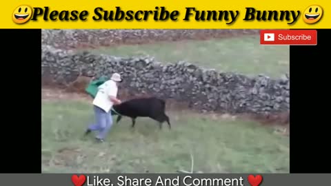 awesome bullfighting festival funny crazy bull fails