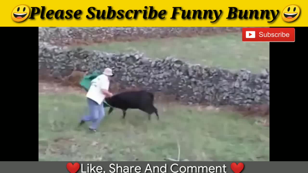 awesome bullfighting festival funny crazy bull fails