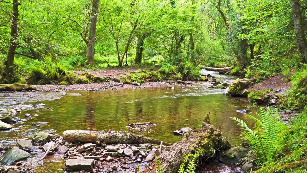Unseen Beauty 4K HDR 60FPS Dolby Vision _ Dolby Atmos