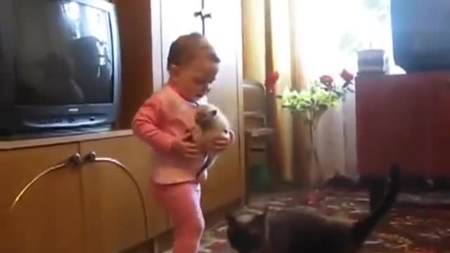 Mummy Cat Takes Back Its' Kitten From a Kid