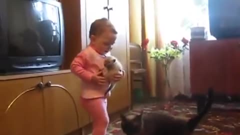 Mummy Cat Takes Back Its' Kitten From a Kid