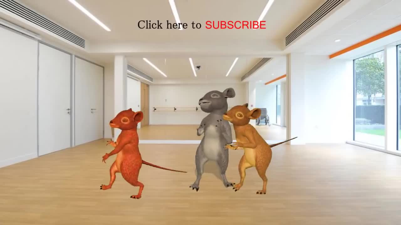 Dancing rat / funny/