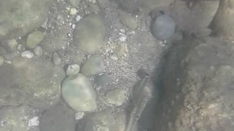 I take pictures of myself underwater on my phone Снимаю себя под водой на телефон