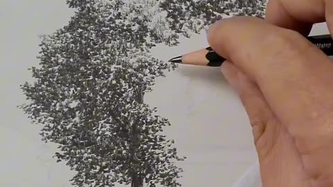 The best Art in the tree