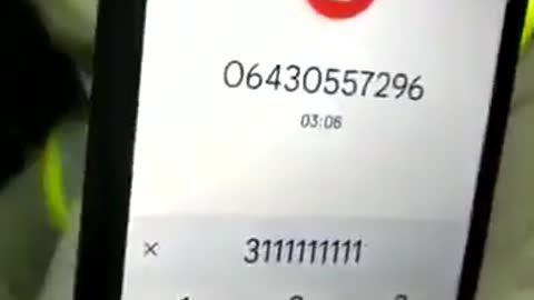 Em uma pesquisa feita pelo telefone...