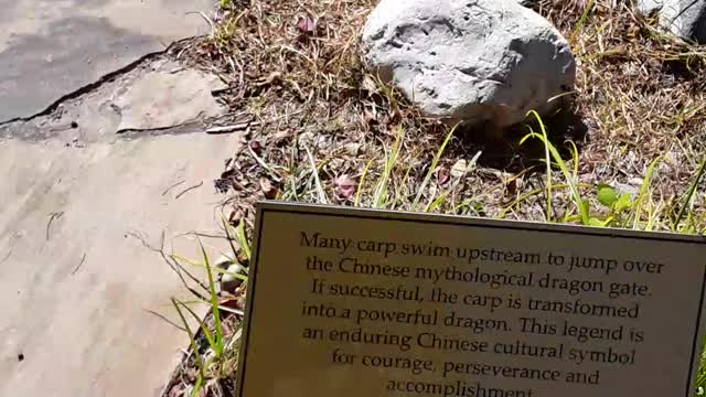 Death and Life are in the power of the tongue. Prov 18:21 9/27/22